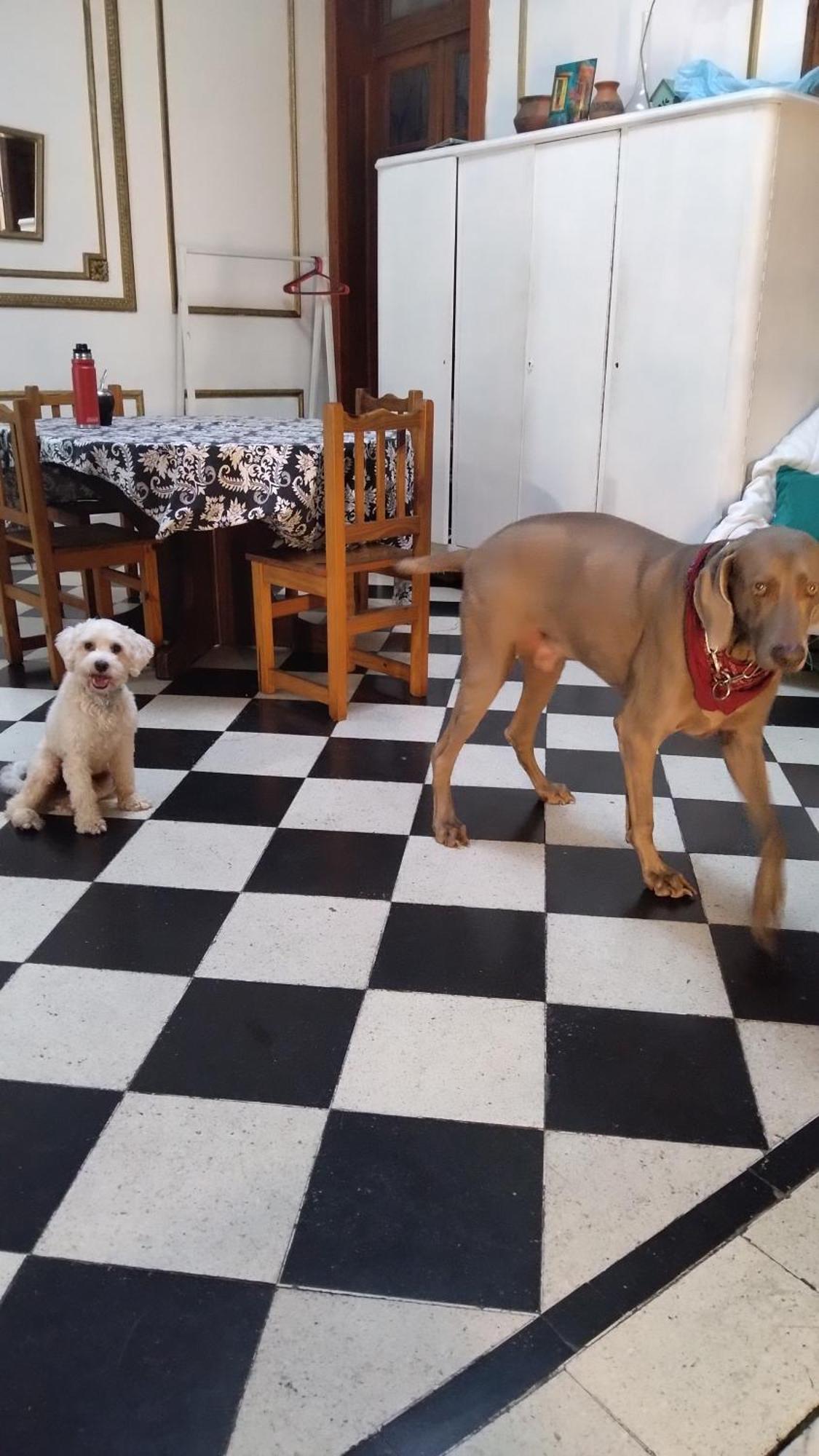 Dante Y Compania Ostello Buenos Aires Esterno foto