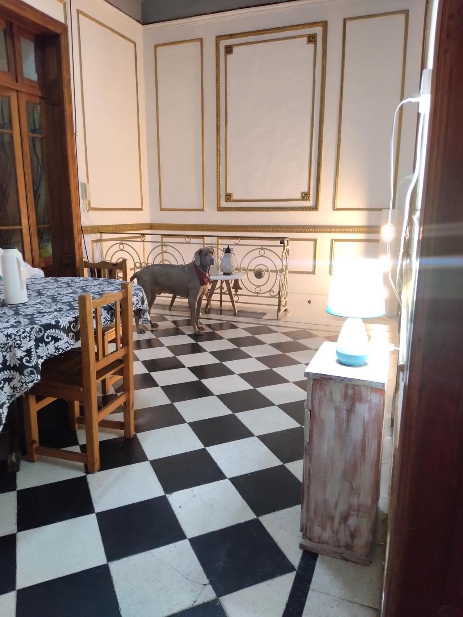 Dante Y Compania Ostello Buenos Aires Esterno foto